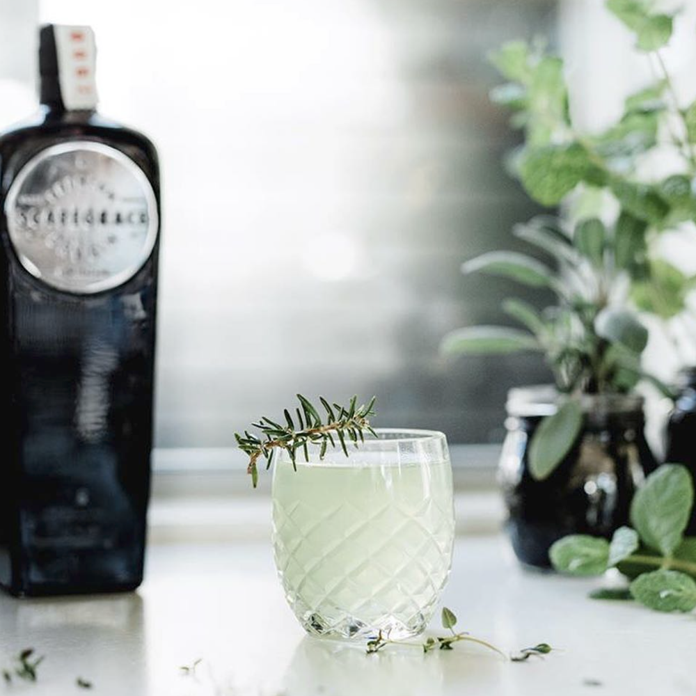 Scapegrace gin 200ml - gift box nz