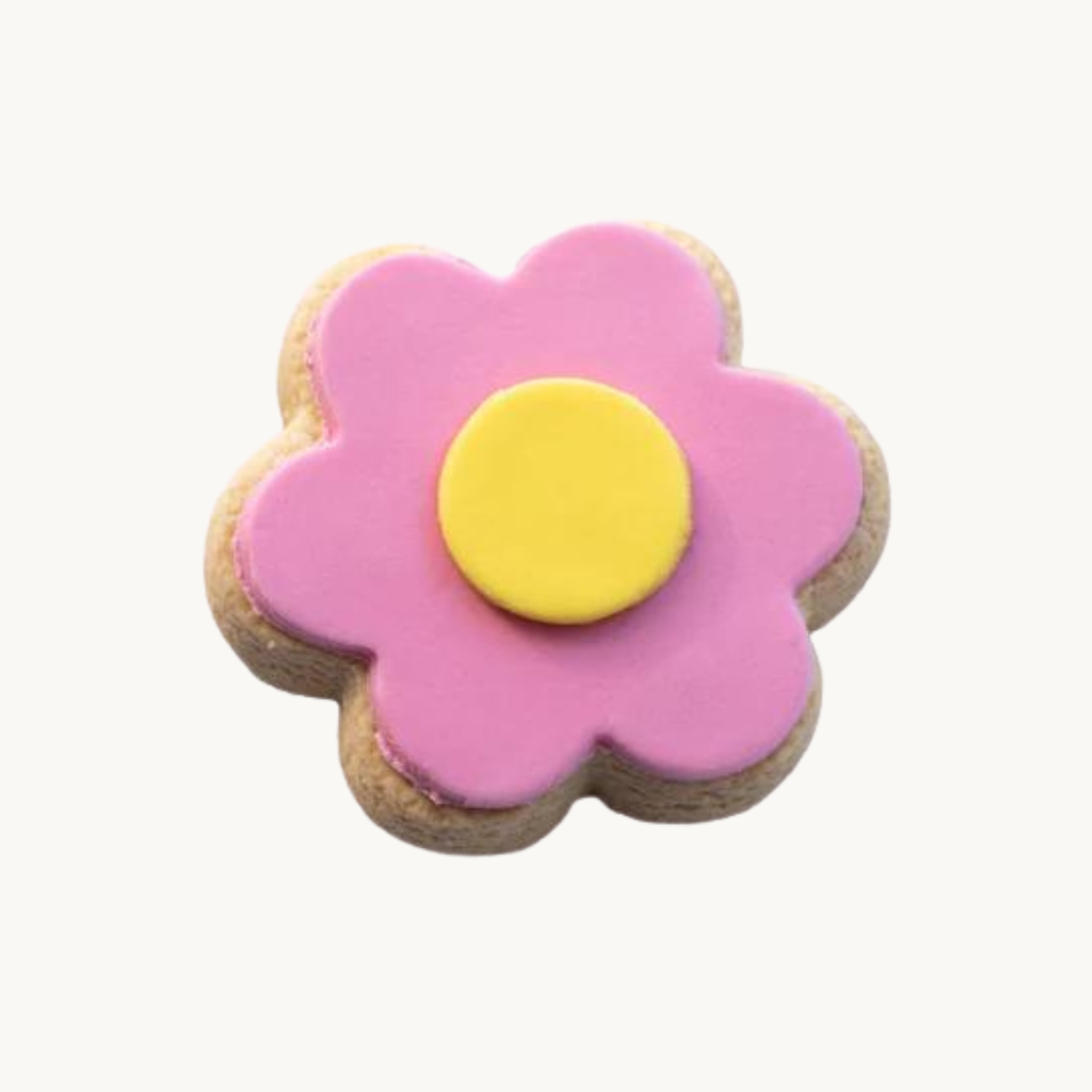 Shortbread daisy - gift box nz