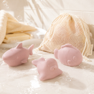 three adorable ocean friends – a walrus, fish and shark