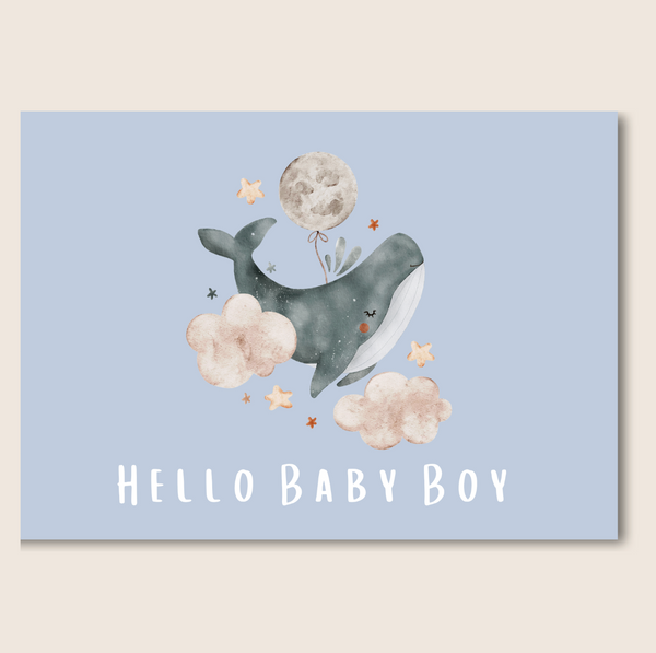 BABY BOY