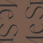 Deluxe black gift box - brown - gift box nz