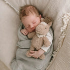 Harvey the horse rattle - gift box nz