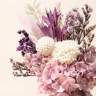 Isla dried floral bundle // mini - gift box nz