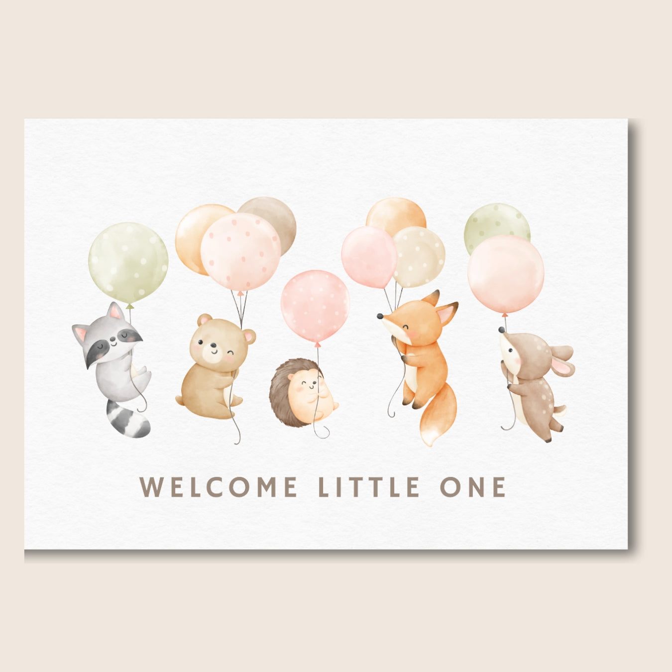 New baby - gift box nz